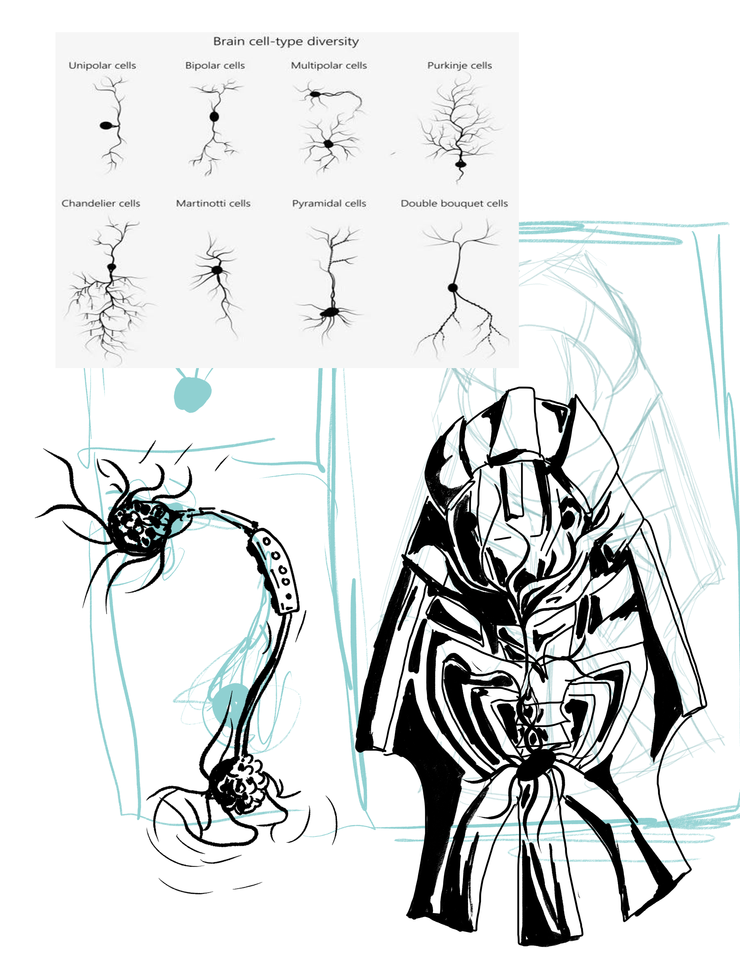 description of image