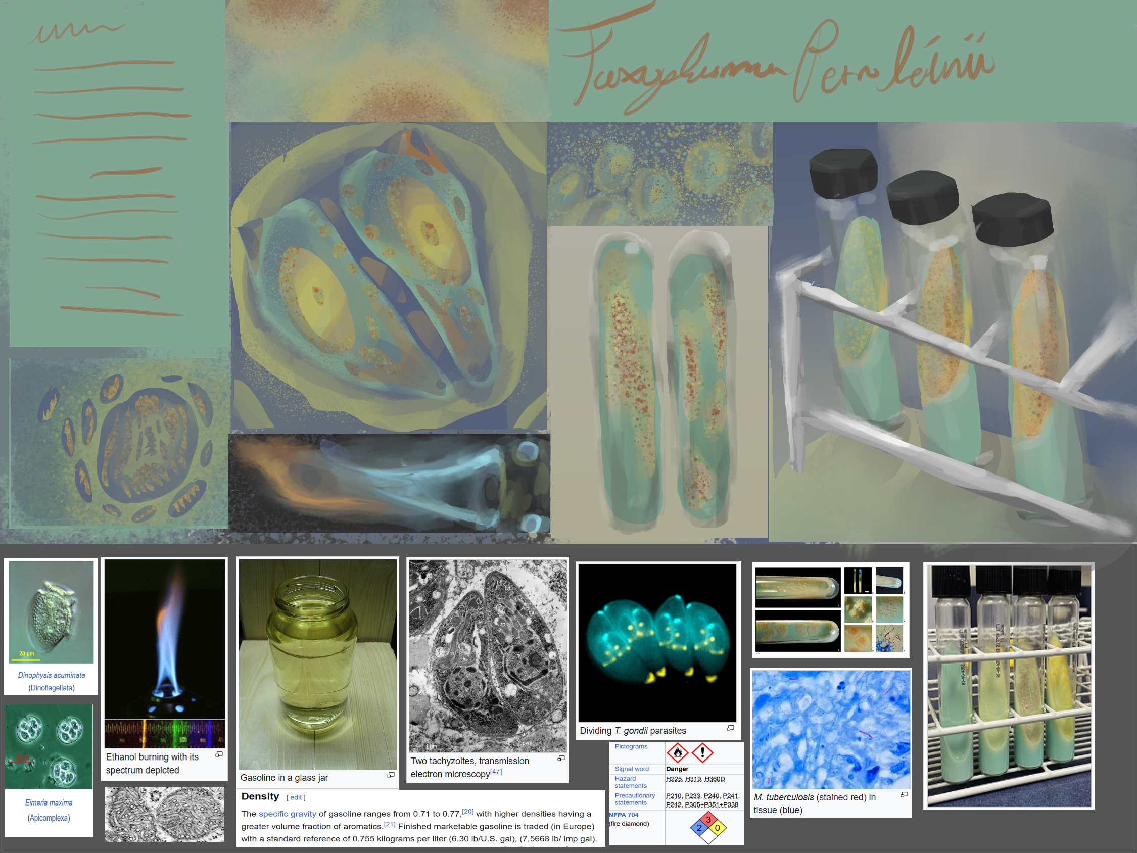 bacteria