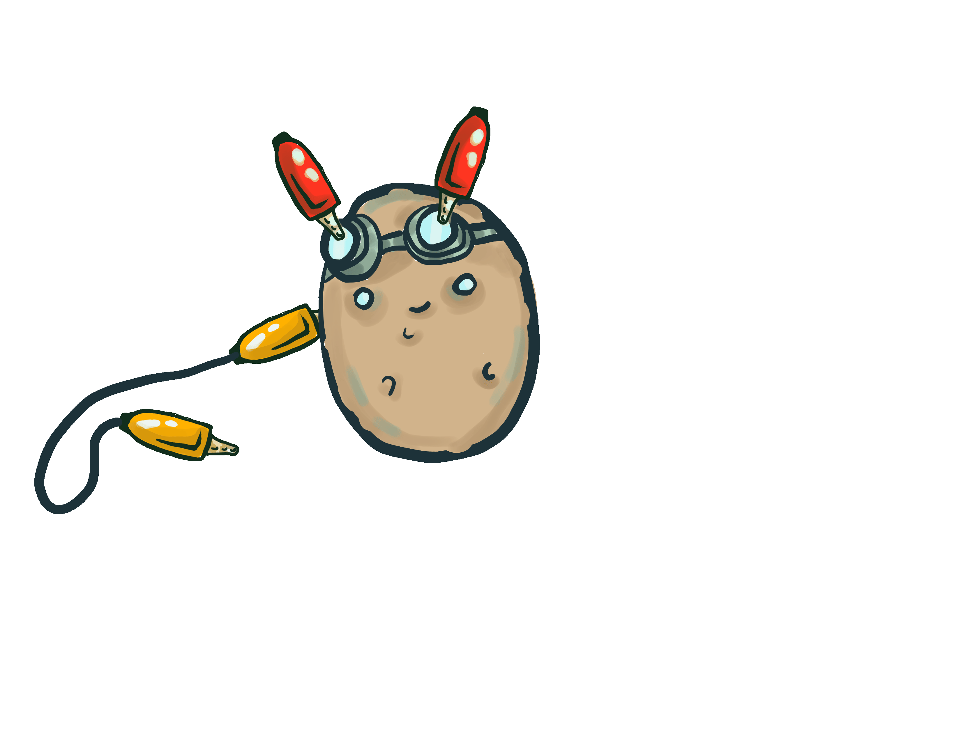 description of image