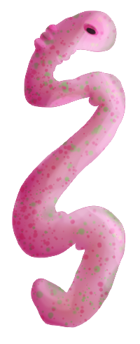 worm_panel
